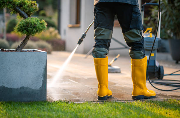 Best Exterior Home Cleaning  in Marinette, WI